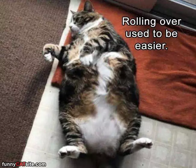 Rolling Over