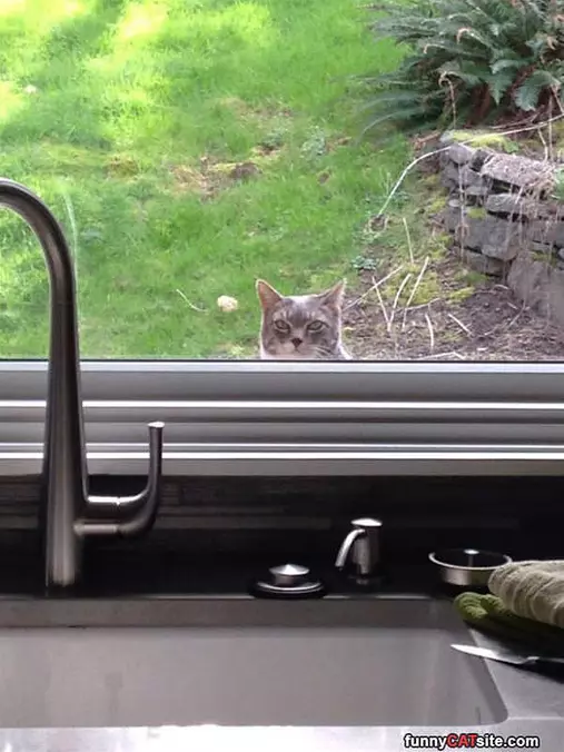 Always Watching You