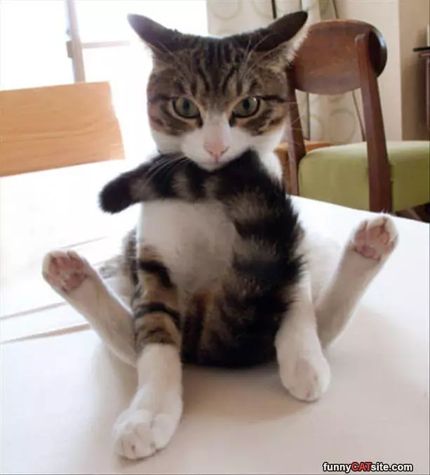 Sit How I Like