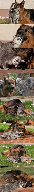 The Best Of Buddies