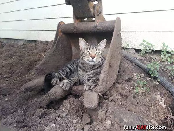 Digging