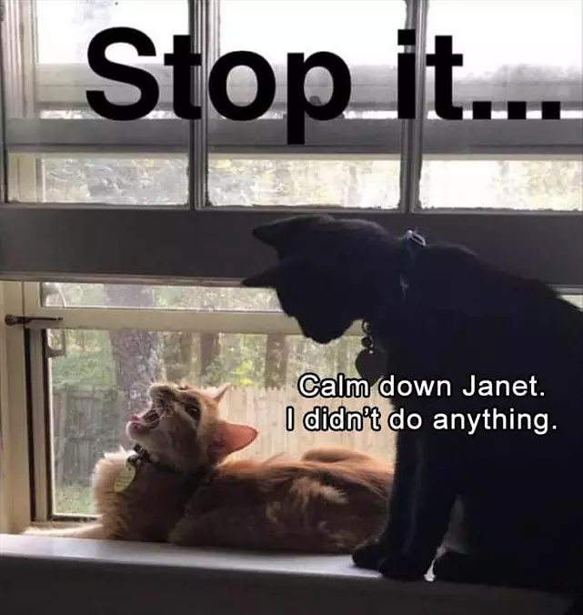 Calm Down Please
