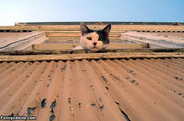 Whats Going On Down There