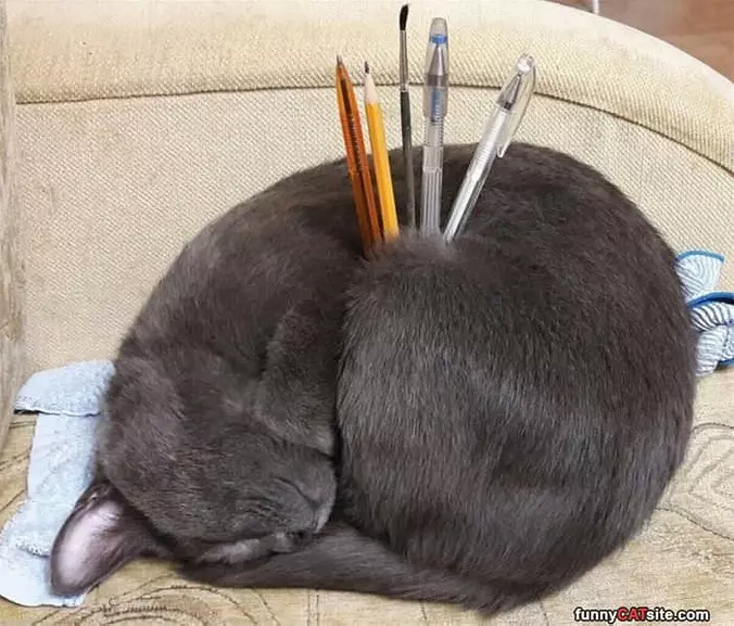Pen Holder