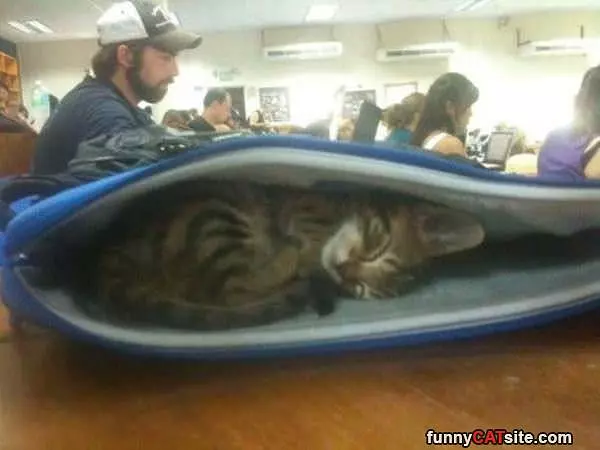 Cuddling In Here