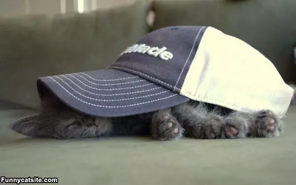 Sleeping Here