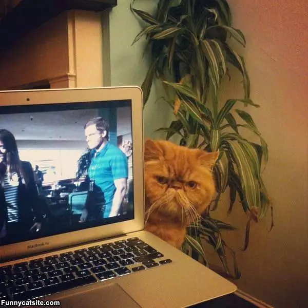 Im Watching You