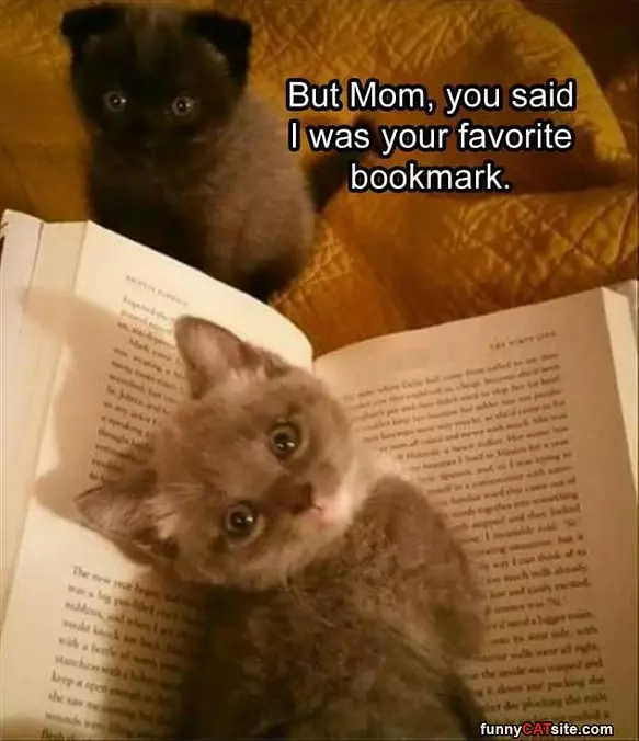 Bookmarking It