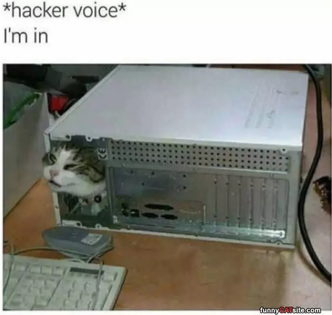 Im In