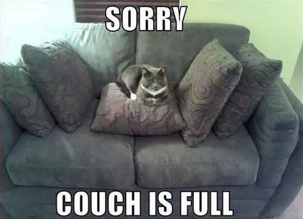Sorry All Full