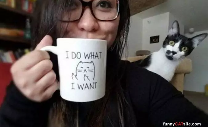 I Do What I Want