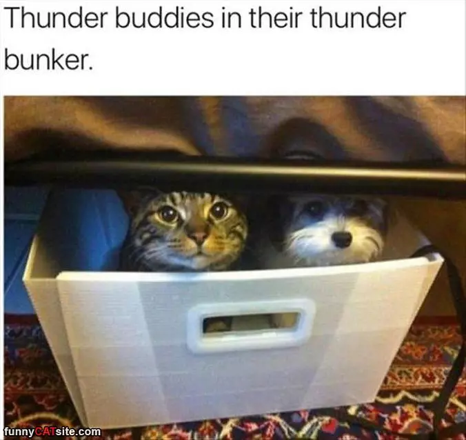 Their Thunder Bunker