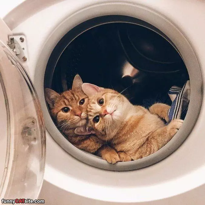 Cuddling Up Together