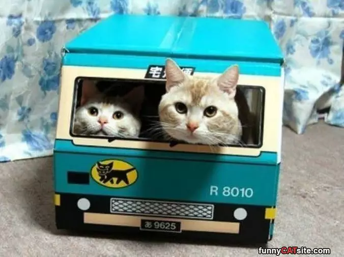Inside The Bus