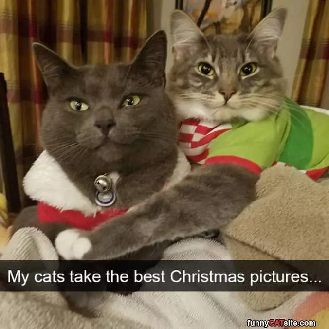 Christmas Pictures