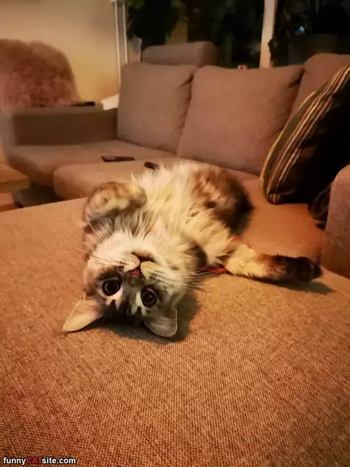 Laying On My Back Relaxing