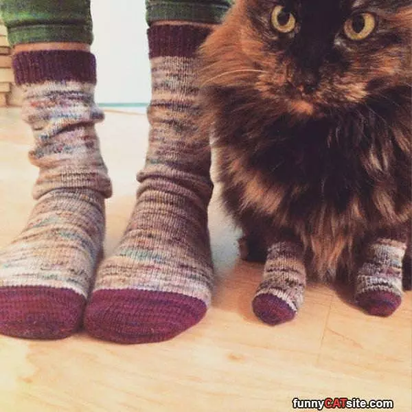 Nice Matching Socks
