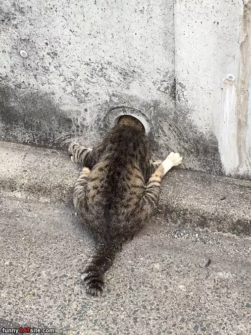 What Is Over There