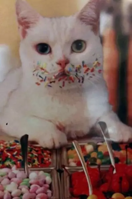 Those Sprinkles