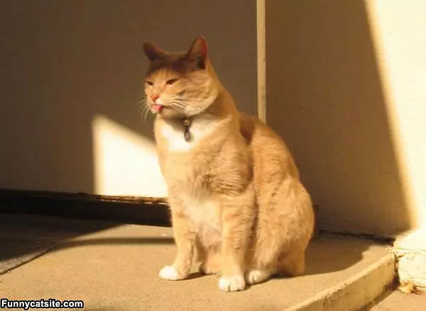Tongue Out At You