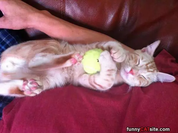 Dreaming About Tennis