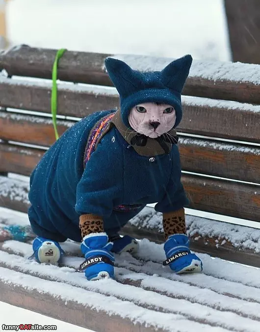 I Am Super Warm Today