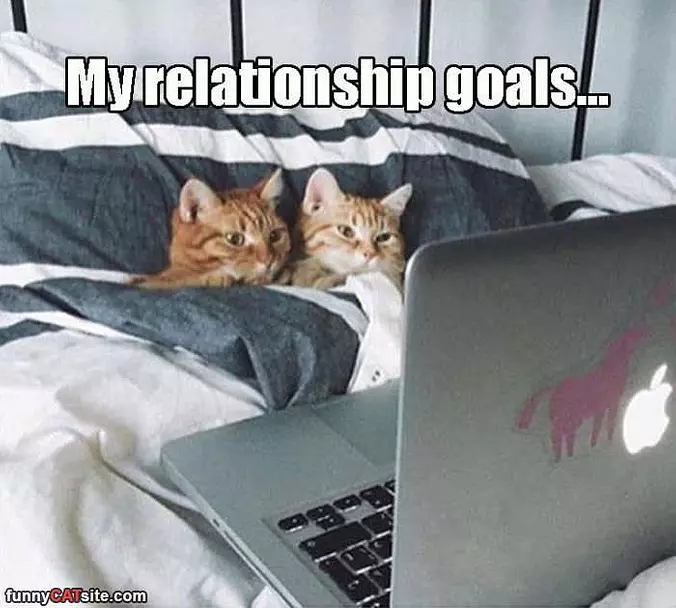 My Relationship Goals