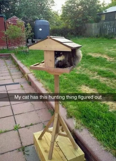 Have This Thing Figured Out