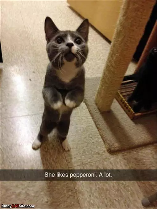 I Love That Pepperoni
