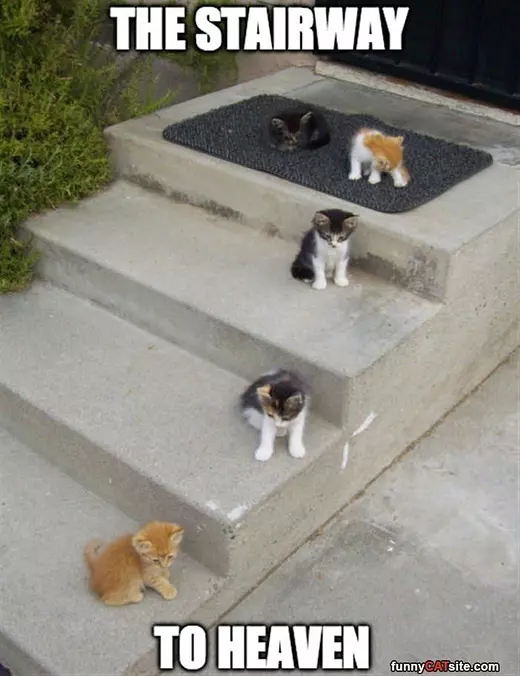 Stairway To Heaven