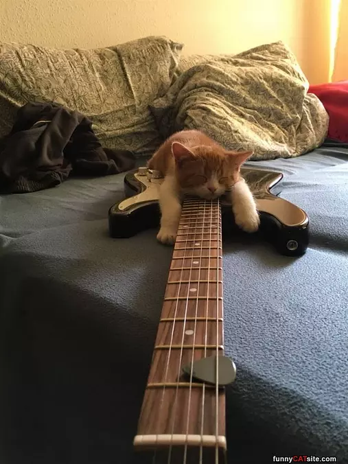 I Have A Guitar