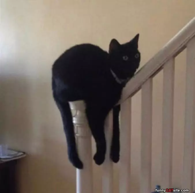 This Is My Spot Now