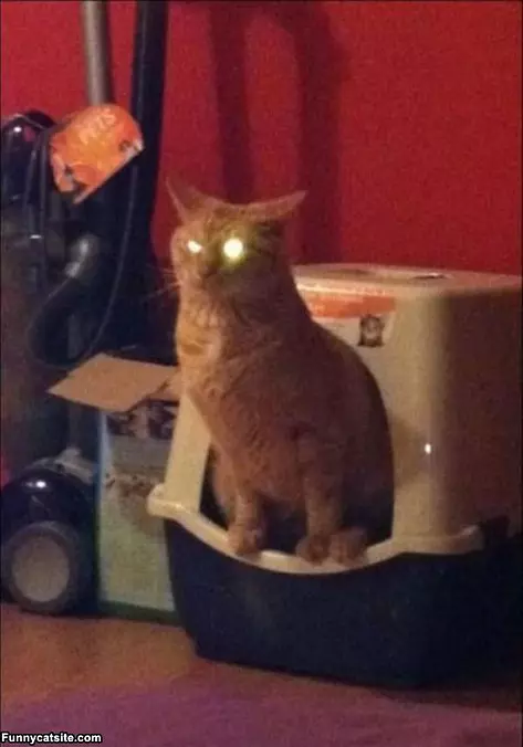 Do Not Watch Me