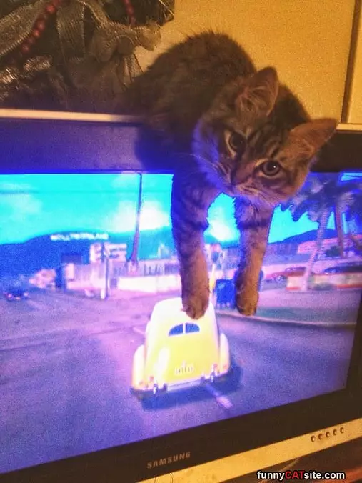 Go Faster