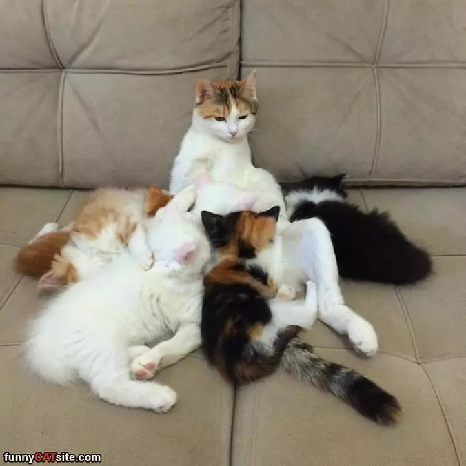 Having Such A Relaxing Day