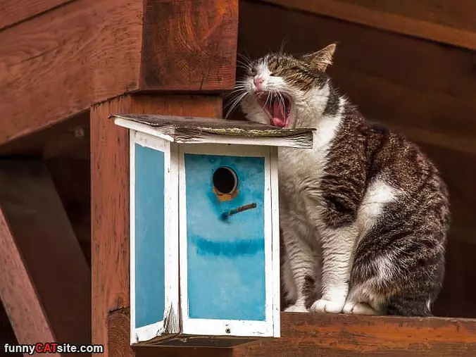 Yawnnnnnnnn