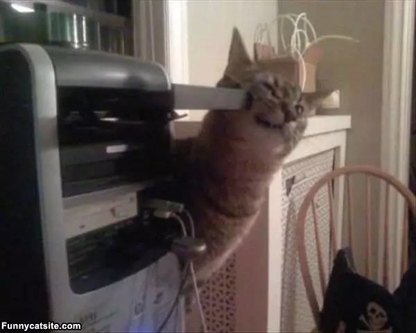 This Is A Good Scratcher