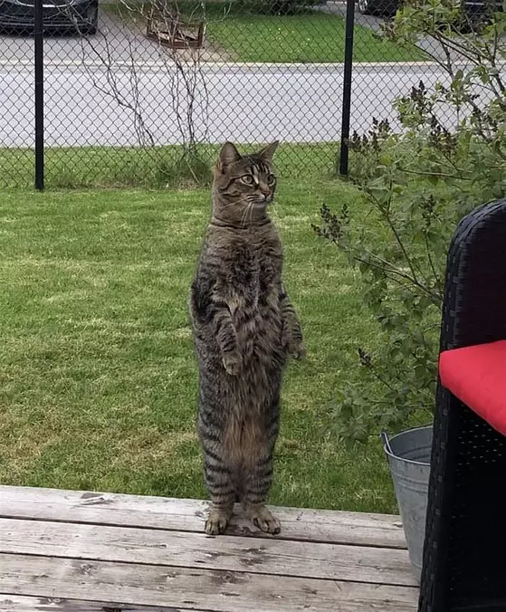 Standing Super Tall