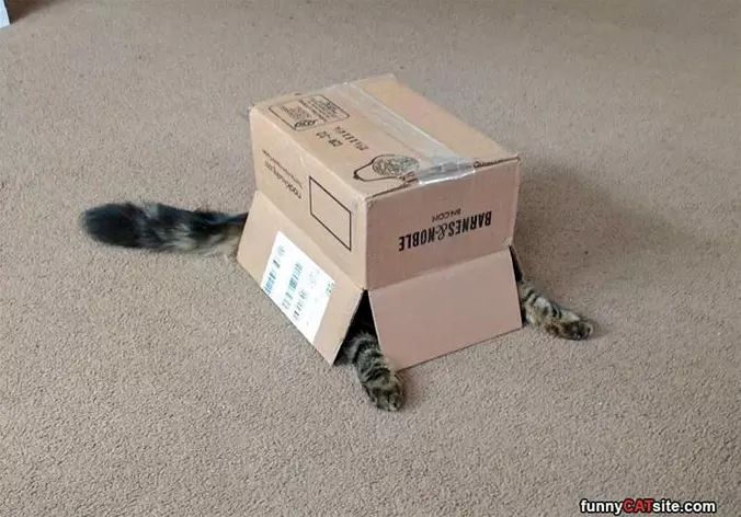 Do You See Me Now