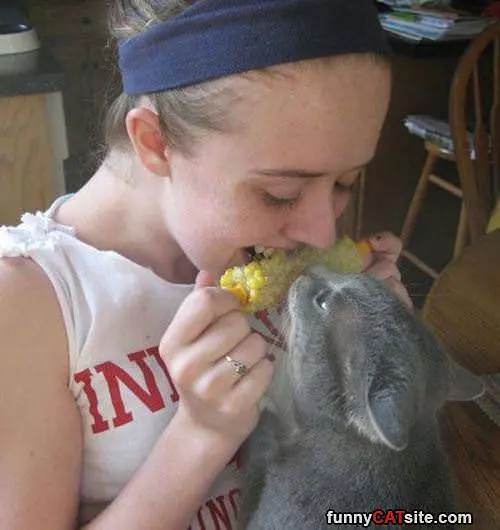 Sharing Your Corns