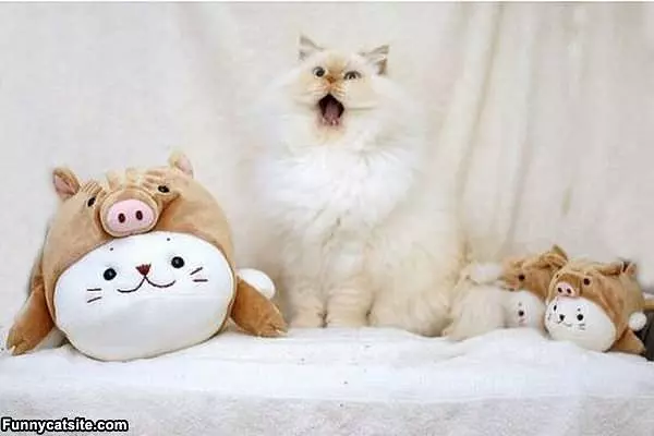 Roooooooar