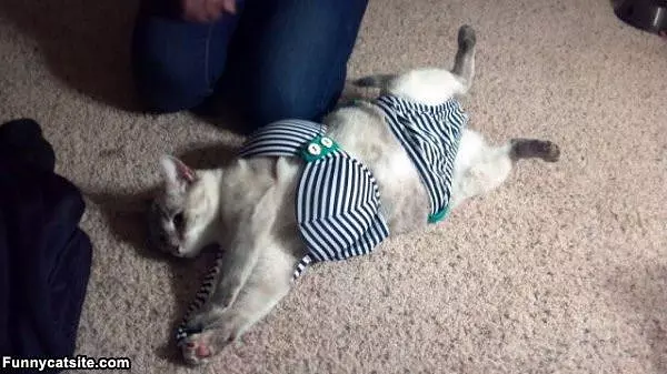 In My Bikini