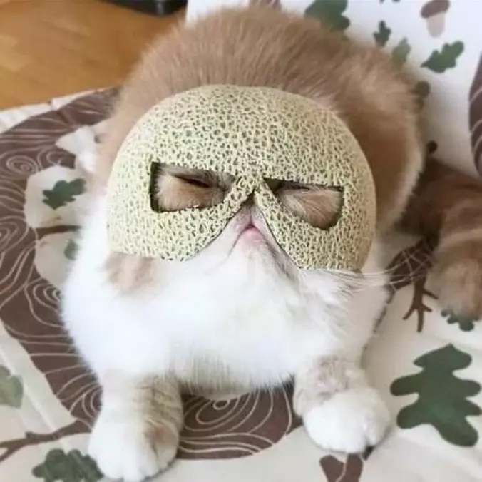 Nice Helmet