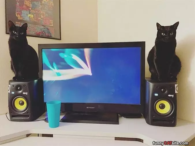 Speakers