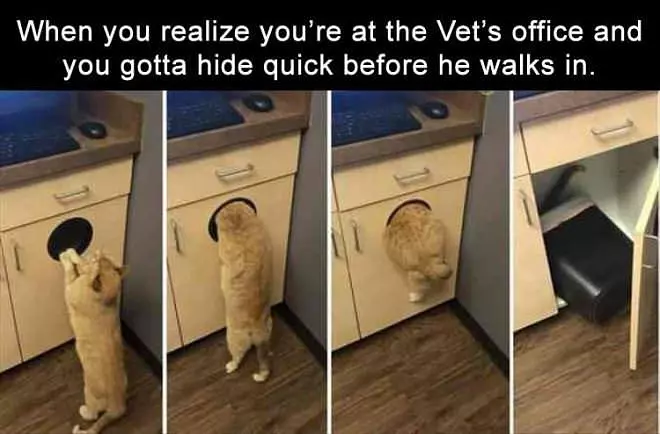 Hide Quick