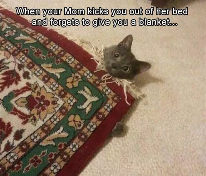 I Need A Blanket