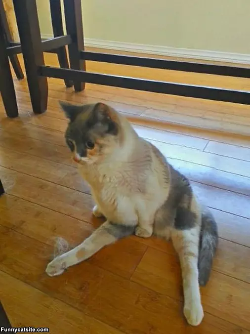 Just Relaxing Here