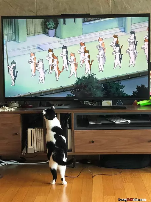 Marching Marching