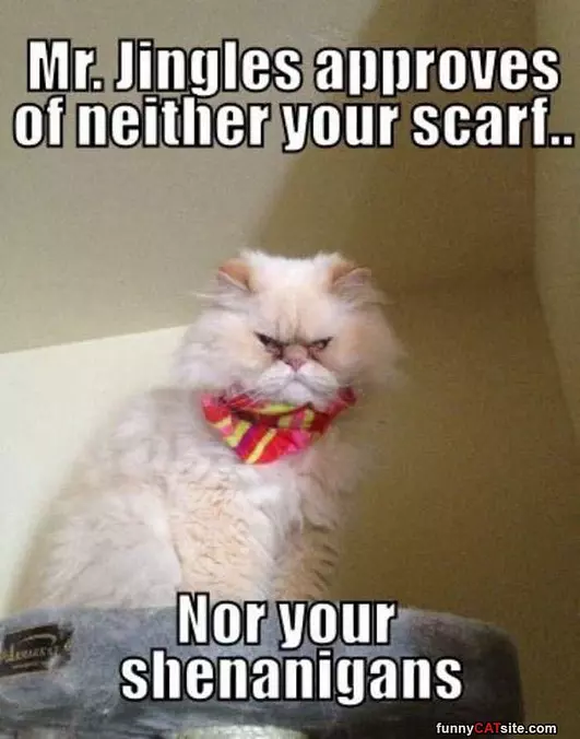 Mr Jingles