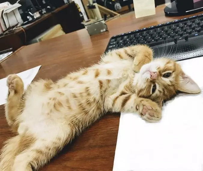 Relaxed So Relaxed